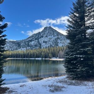 Meet your Posher, Merry